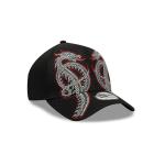 GORRA NEW ERA CAP HOUSE OF THE DRAGON 9FORTY AF SNAPBACK en STOCK