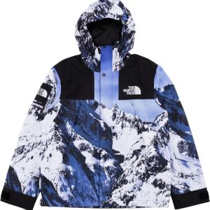 CHAMARRA JACKET SUPREME THE NORTH FACE MOUNTAIN JACKET