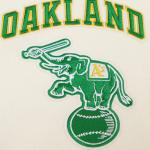 CHAMARRA AND ATHLETICS RETRO CLASSIC RIB WOOL VARSITY JACKET EGGSHELL KELLY GREEN en STOCK