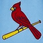 CHAMARRA ST LOUIS CARDINALS SCRIPT TAIL MENS RIB WOOL VARSITY UNIVERSITY BLUE WHITE en STOCK